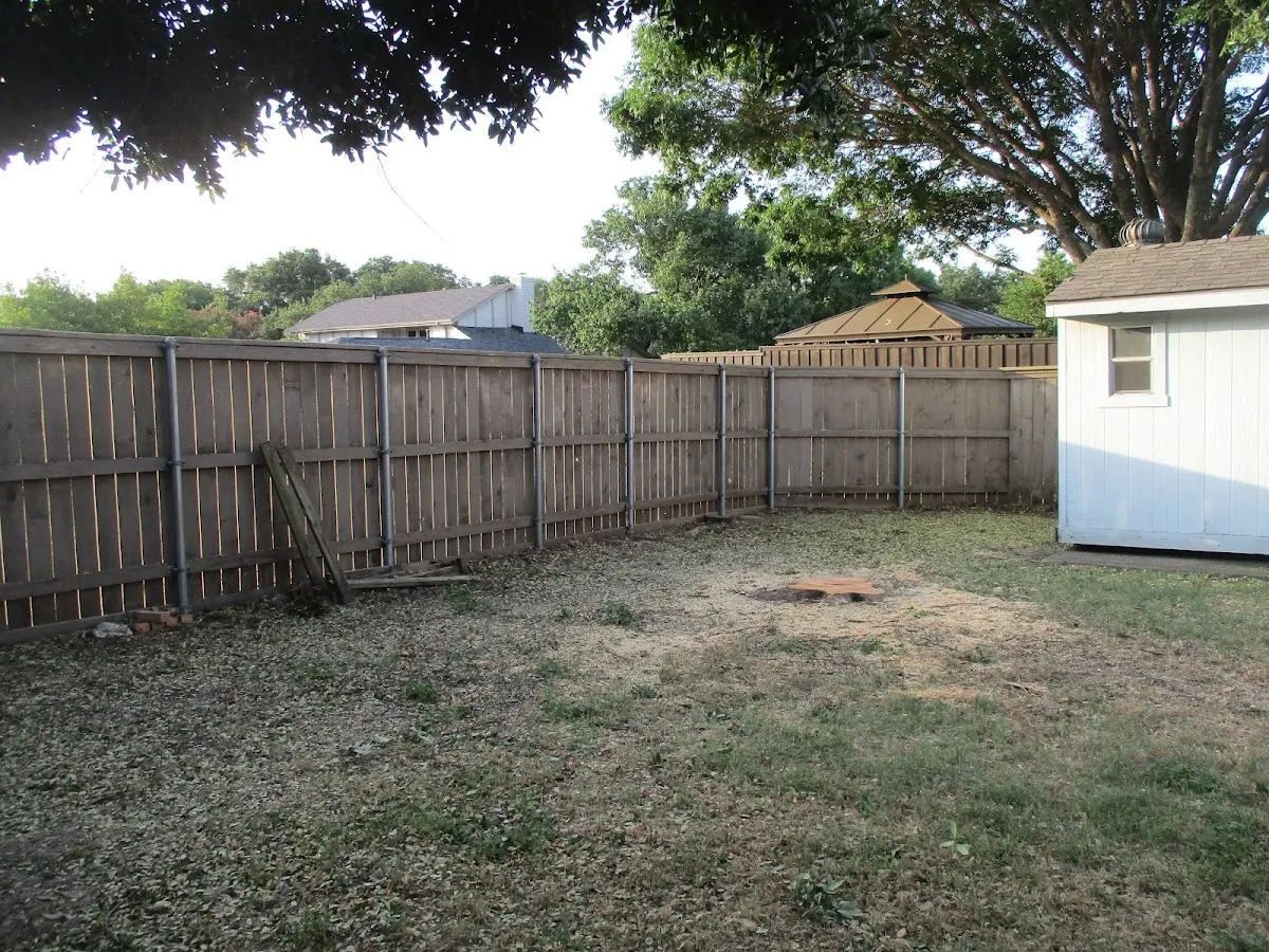 Cleared yard after professional tree removal in Curtis Bay