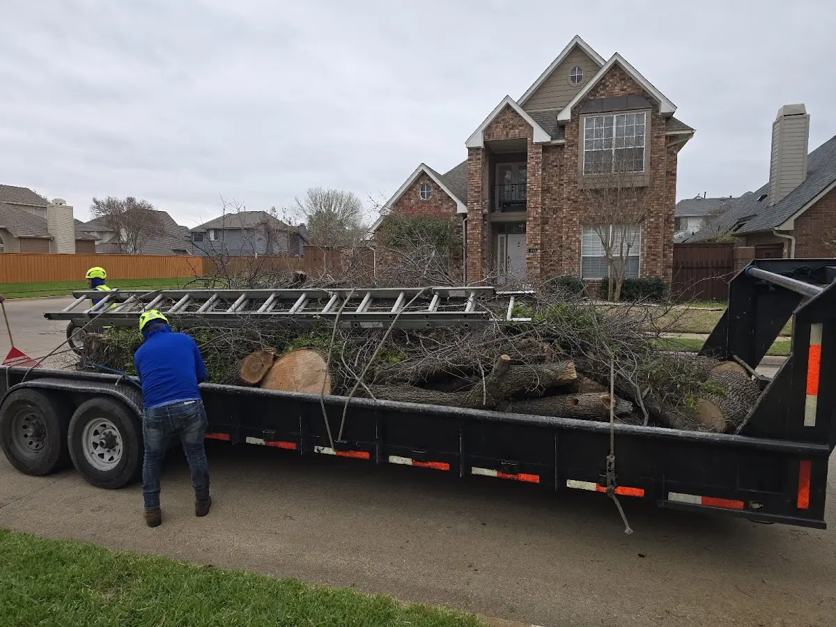 Expert Tree Fertilization with proper safety equipment in Curtis Bay